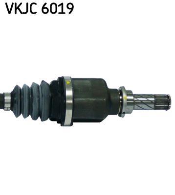 Cardan SKF VKJC 6019